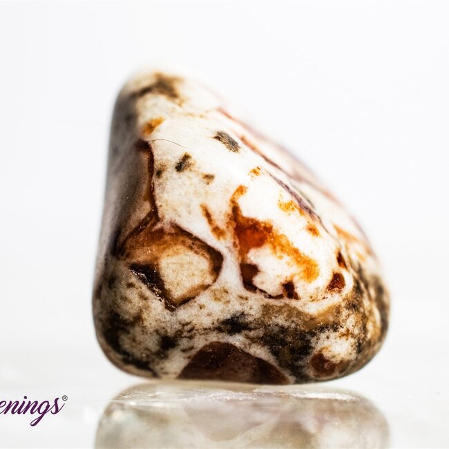 Garnet in Limestone - Tumbled