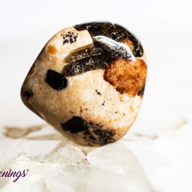 Garnet in Limestone - Tumbled