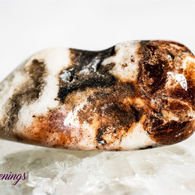 Garnet in Limestone - Tumbled