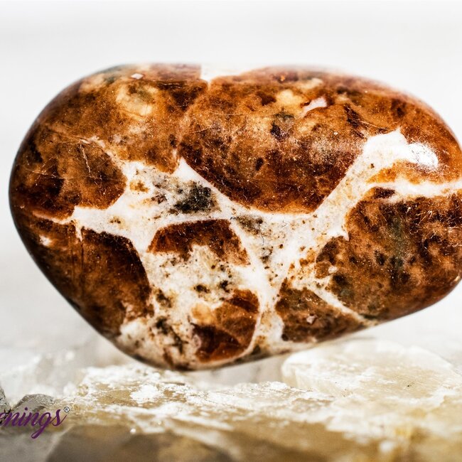 Garnet in Limestone - Tumbled