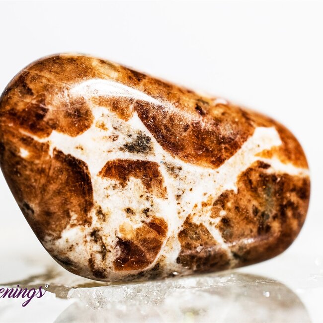 Garnet in Limestone - Tumbled