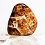 Garnet in Limestone - Tumbled