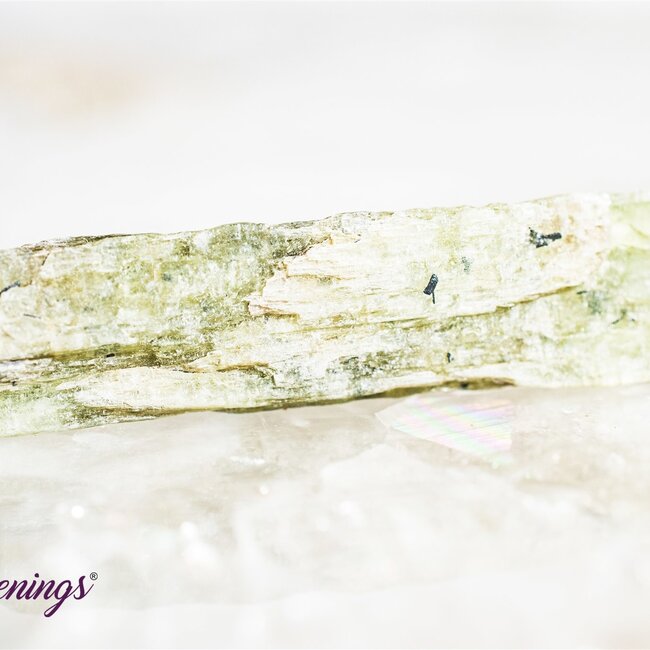 Green Kyanite - Rough Raw Natural