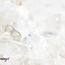 White Star Girasol Quartz (Milky) - Tumbled