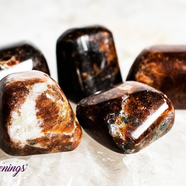 Hessonite Garnet (Cinnamon Stone Grossularite) - Tumbled