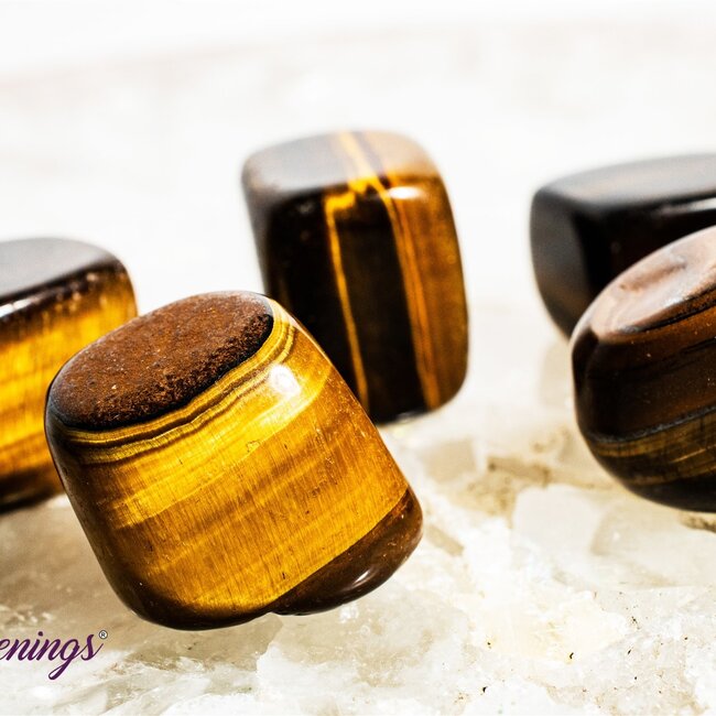 Gold Tiger's Eye - Tumbled