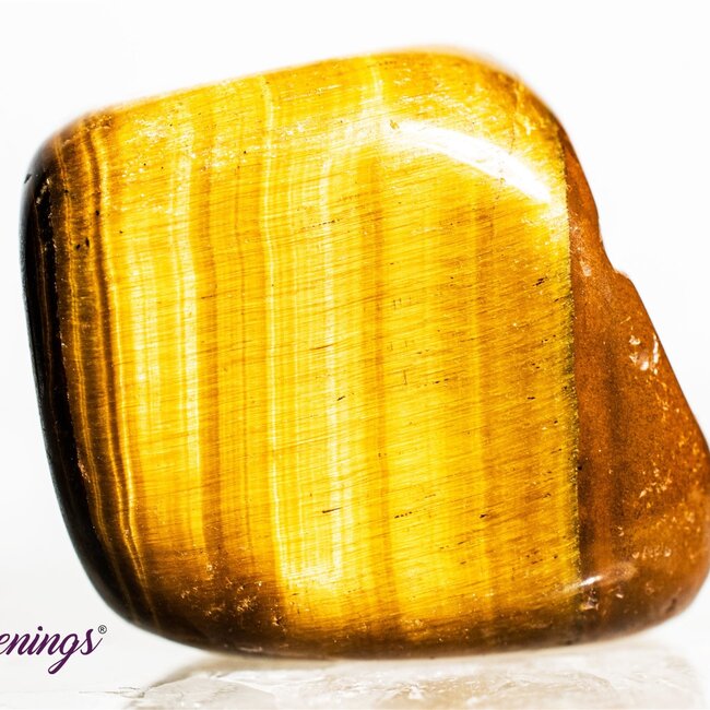 Gold Tiger's Eye - Tumbled