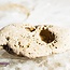 Hag Stone - Witch's Stone - Rough Raw Natural