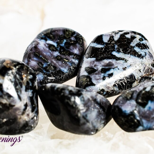 Indigo Gabbro (Mystic Merlinite) - Tumbled
