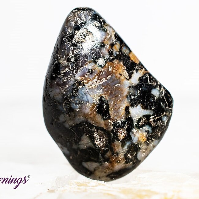 Indigo Gabbro (Mystic Merlinite) - Tumbled