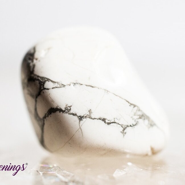White Howlite (Magnesite) - Tumbled