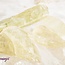 Hiddenite (Green Kyanite)  - Rough Raw Natural - Medium
