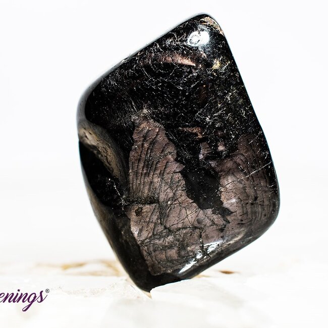Black Hypersthene - Tumbled