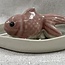 Goldfish Ash Catcher/Incense Stick Burner- Pink Ceramic