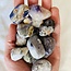 Tiffany Stone (Bertrandite) & Blue Opal - Tumbled