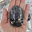 Iolite (Water Sapphire) Palm Pillow Pocket Stone Large