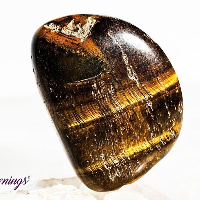 Gold Tigers Eye- Tumbled Large