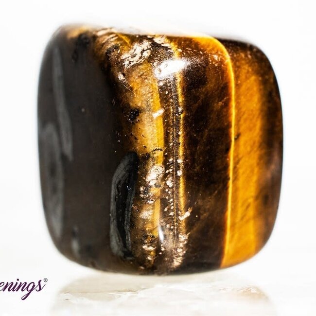Gold Tiger's Eye - Tumbled