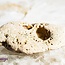 Hag Stone - Witch's Stone - Rough Raw Natural