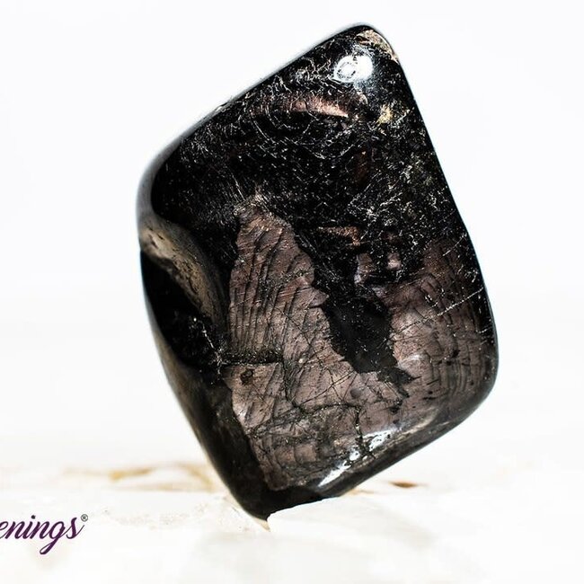 Black Hypersthene - Tumbled