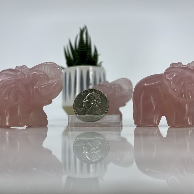 Rose Quartz Elephants - Medium (2") Carving Animal