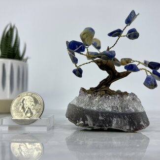 Sodalite Bonsai Tree on Amethyst - 3" Mini