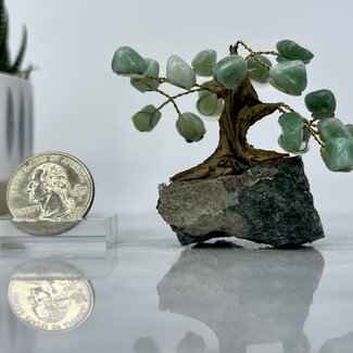 Green Aventurine Bonsai Tree on Amethyst - 3" Mini