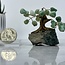 Green Aventurine Bonsai Tree on Amethyst - 3" Mini