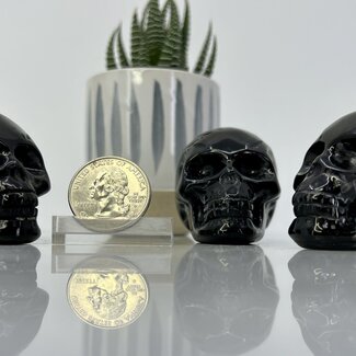 Black Obsidian Skull - Medium 2" Carving