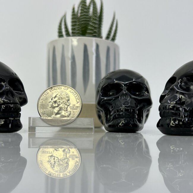 Black Obsidian Skull - Medium 2" Carving