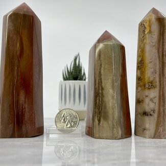 Petrified Wood Tower/Point-Large (4-6")