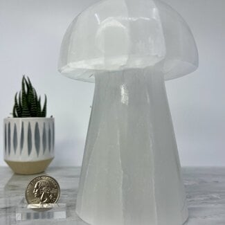 Selenite (Satin Spar Gypsum) Mushroom Lamp Light - 6"  (Cord & Bulb Included)