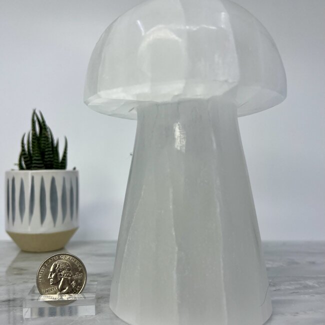 Selenite (Satin Spar Gypsum) Mushroom Lamp Light - 6"  (Cord & Bulb Included)