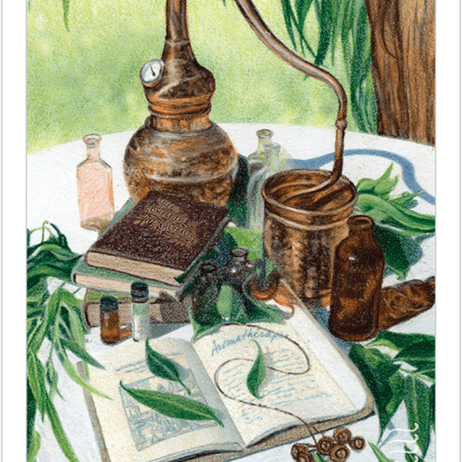 The Herbcrafter's Tarot Cards Deck