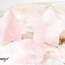 Rose Quartz Star- Large 2"