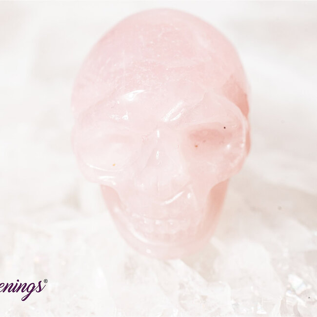 Rose Quartz Skulls - Mini
