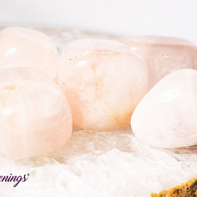 Rose Quartz Tumbled-XXL