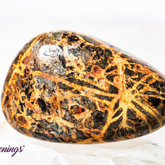 Leopardskin Jasper - Tumbled