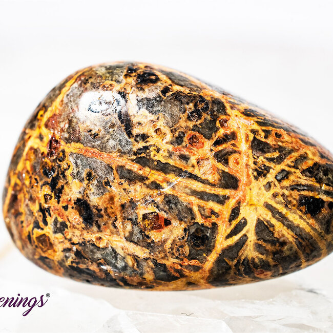 Leopardskin Jasper - Tumbled