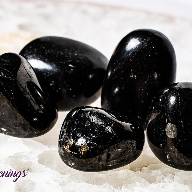 Jet (Lignite) - Tumbled