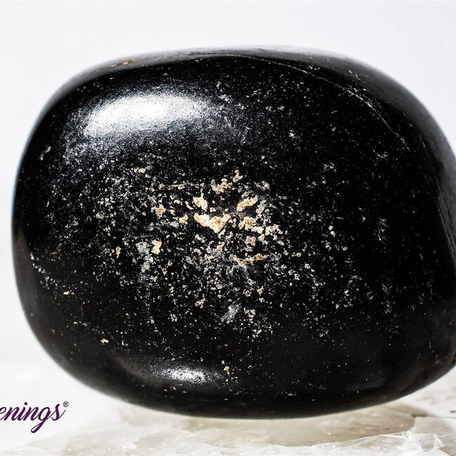 Jet (Lignite) - Tumbled