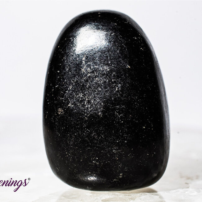 Jet (Lignite) - Tumbled