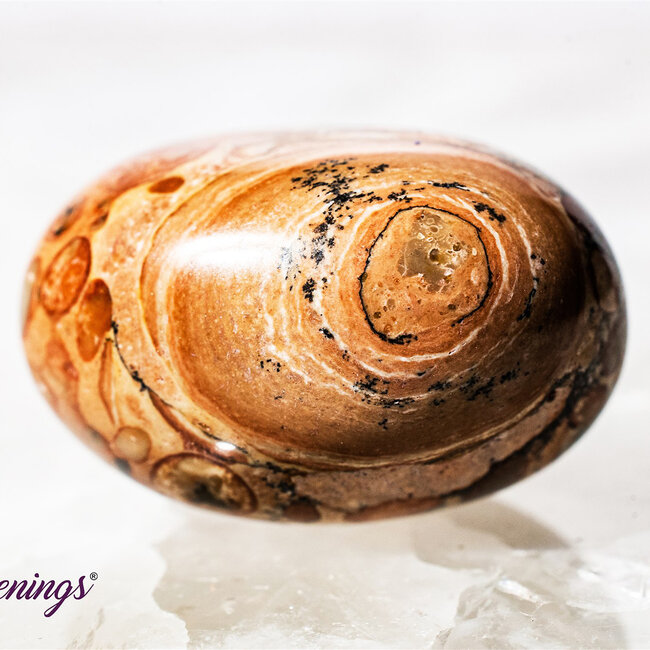 Leopardite (Oncolite) - Tumbled