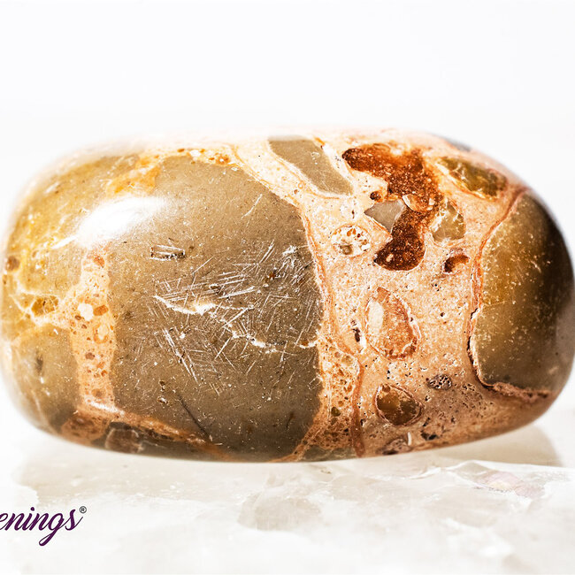 Leopardite (Oncolite) - Tumbled