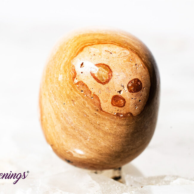 Leopardite (Oncolite) - Tumbled