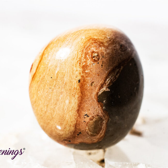 Leopardite (Oncolite) - Tumbled