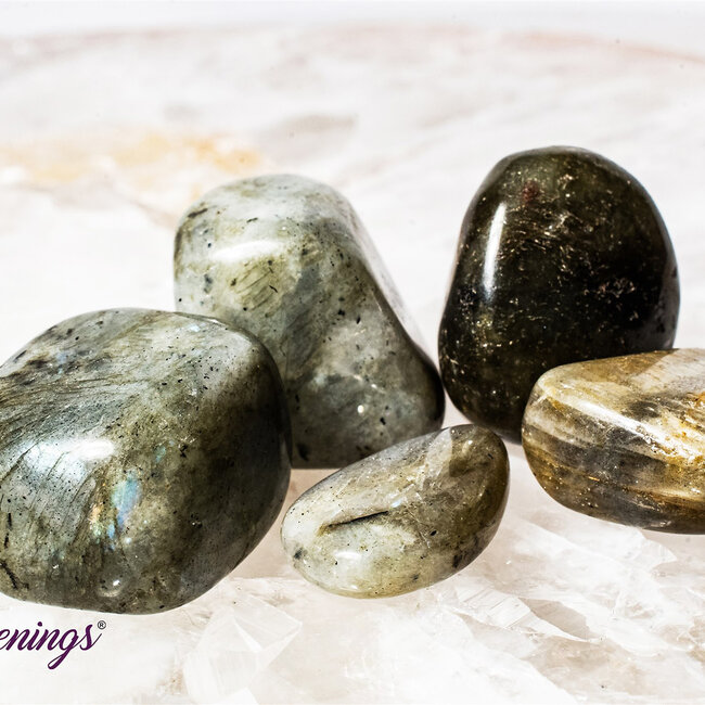 Labradorite - Tumbled