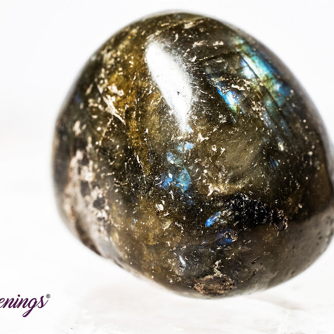 Labradorite - Tumbled