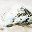 Larimar (Dolphin Stone) - Tumbled
