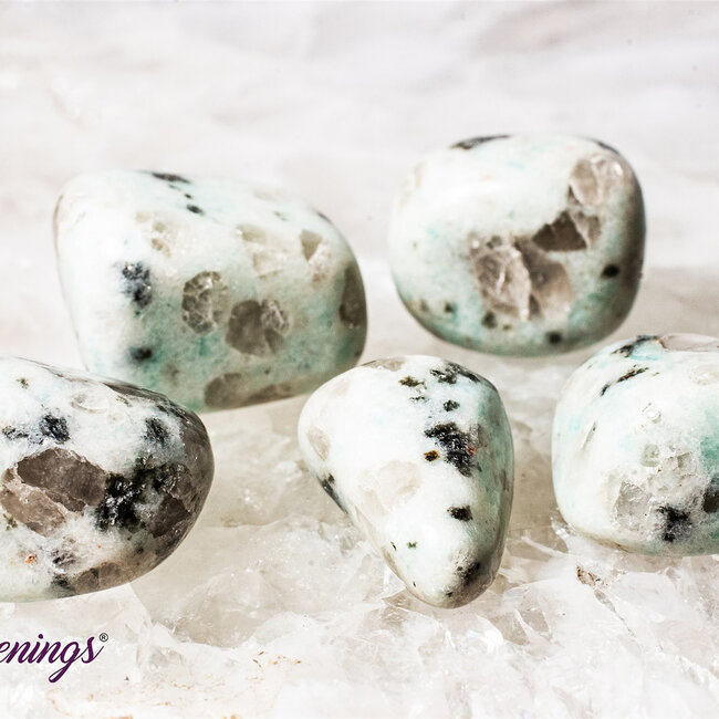 Kiwi Jasper (Amazon River Stone Sesame) - Tumbled